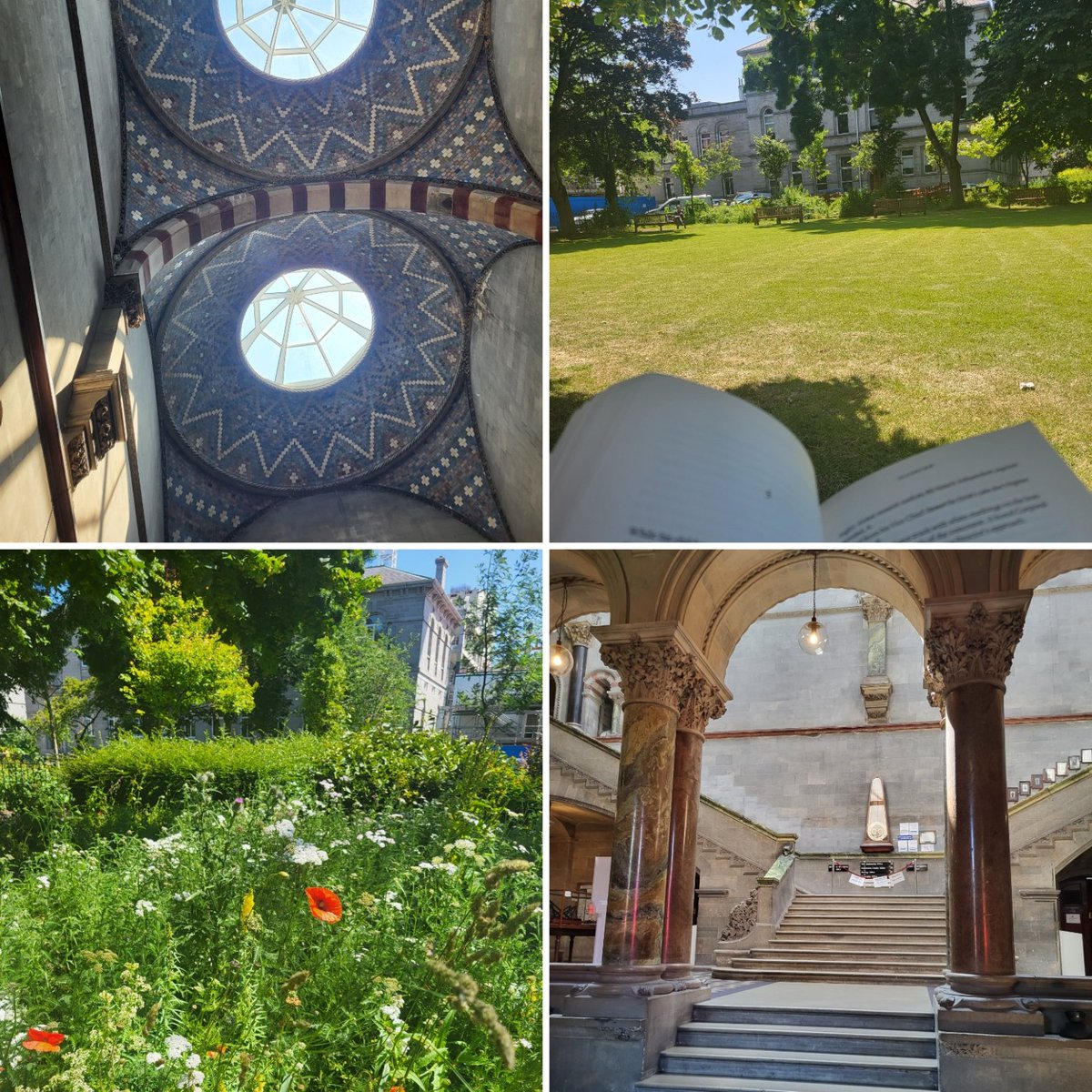 Best kept secrets <a href="/tcddublin/">Trinity College Dublin</a> during an unplanned wander this morning
