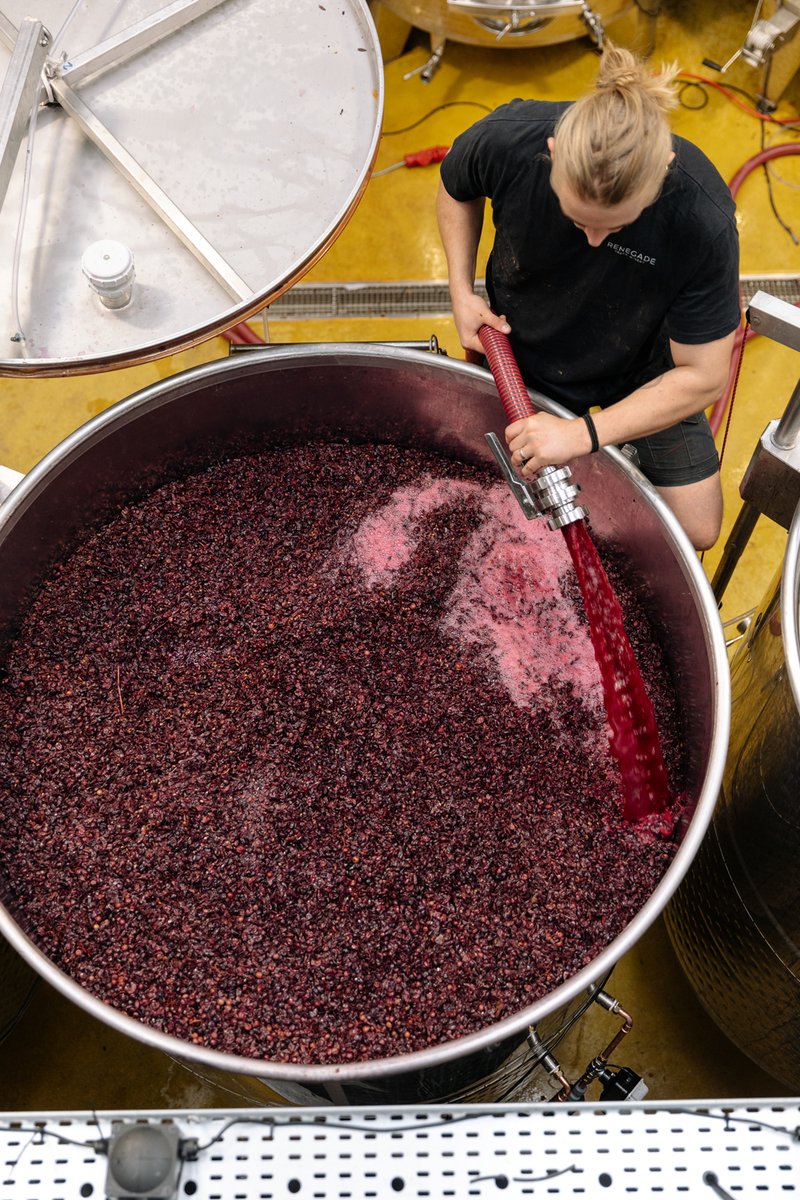 Hoxton Mini Press tweet media