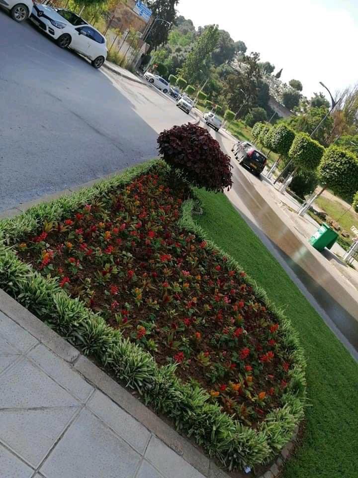 Algeria3New's tweet photo. تواصل اشغال تهيئة المساحات الخضراء

Green space work continues in Algiers https://t.co/BKGVeDciRZ