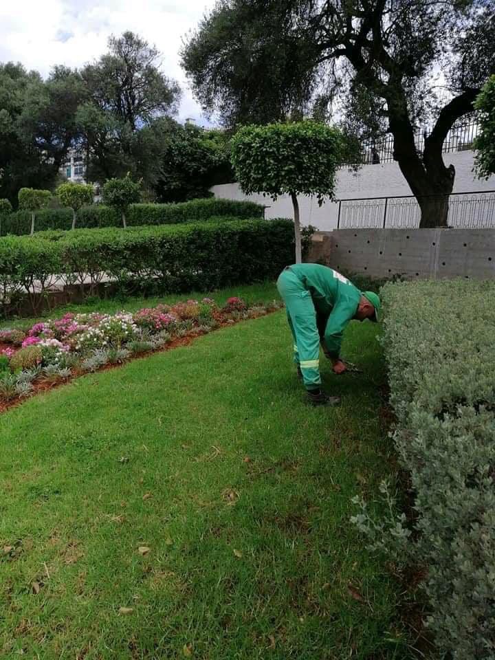 Algeria3New's tweet photo. تواصل اشغال تهيئة المساحات الخضراء

Green space work continues in Algiers https://t.co/BKGVeDciRZ