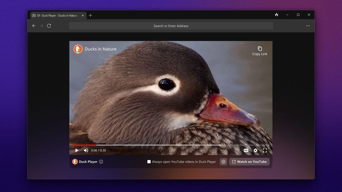 DuckDuckGo’s privacy-focused browser is available for Windows now theverge.com/2023/6/22/2376…