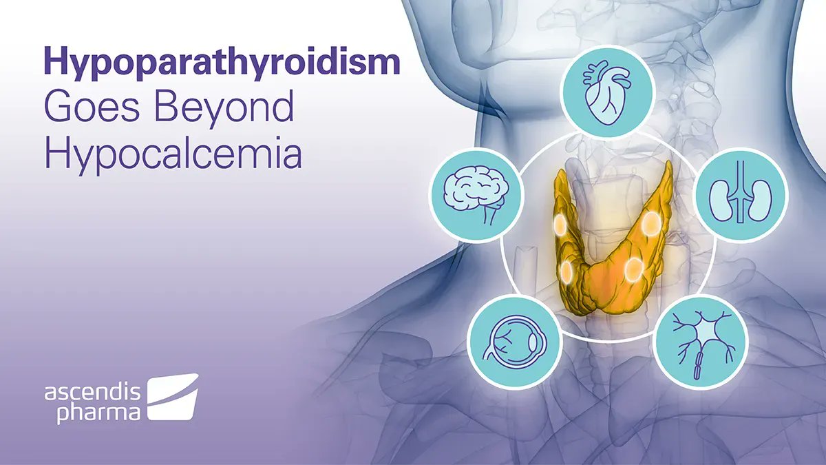 #Hypoparathyroidism is a #raredisease resulting from a deficiency of parathyroid hormone (PTH) in the body & can be linked to several multiorgan manifestations, including cardiovascular, respiratory & renal complications.  

Learn about hypoparathyroidism: buff.ly/467lqBH