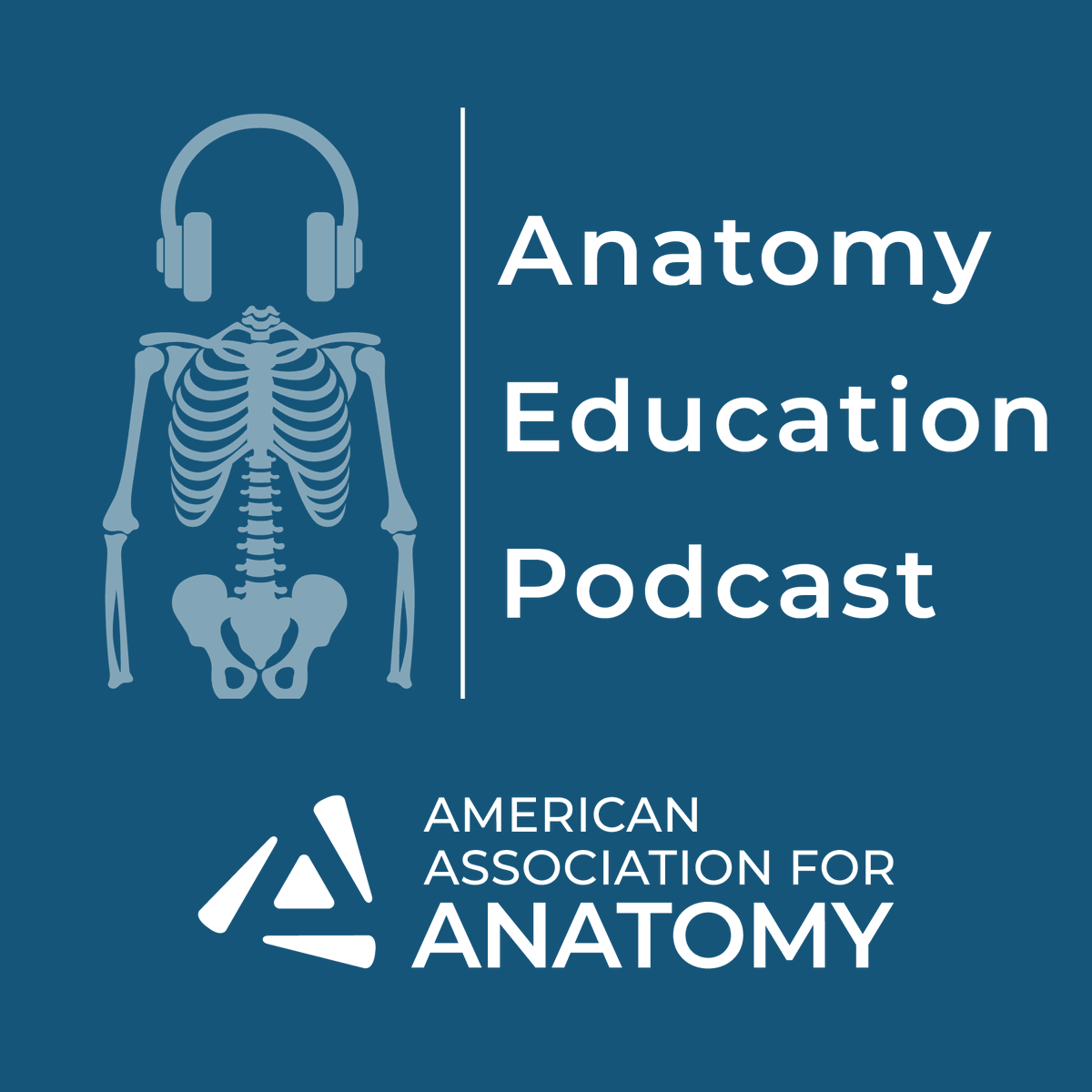 Check out and subscribe to the Anatomy Education Podcast brought to you by AAA! A new series and episodes are in the works. Stay tuned! You can listen to the released episodes on our website or various streaming platforms. ow.ly/Nzhp50OT3h5 #Anatomy24 #AAA #podcast