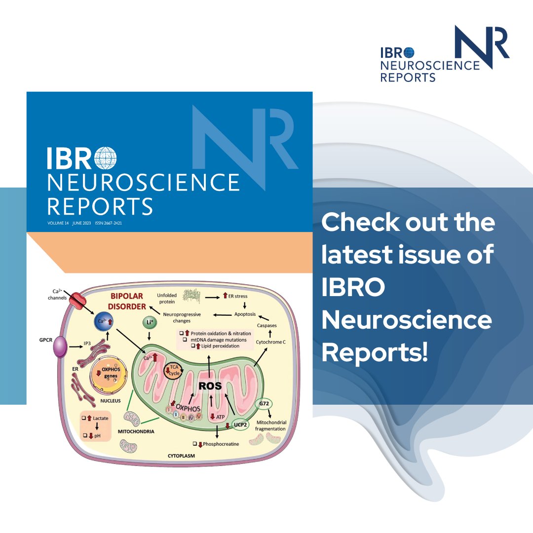 IBROorg's tweet image. Check out the cover of IBRO Neuroscience Reports volume 14! Browse all the articles in this volume and discover IBRO’s open access journal: ow.ly/Uce050OQfGX

#IBROjournals

@NeurosciIBRO @ELSneuroscience @JuanLerma1 @TheBaleLab