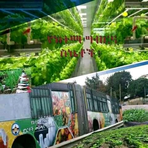 Kolfe_8's tweet photo. https://t.co/q9k7TAAuJo
