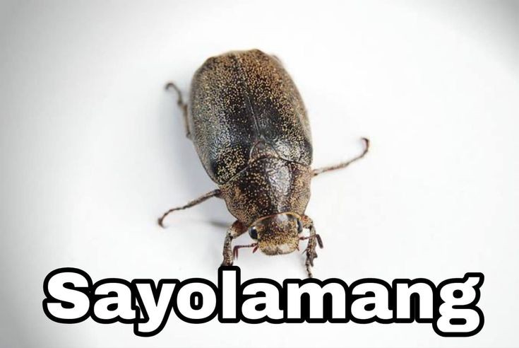 😍😍😍😍😍❤️❤️❤️❤️❤️