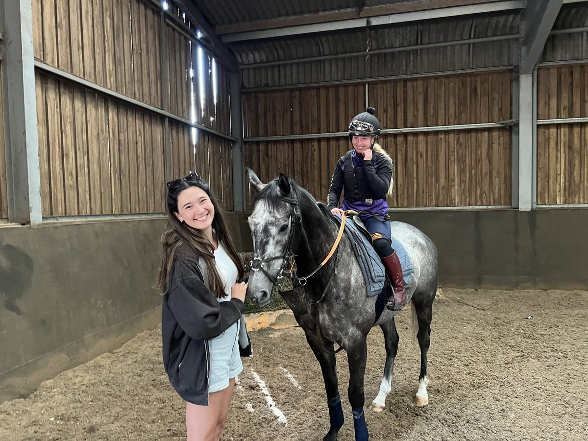 SPIRIT OF LIGHT runs today at Royal Ascot Buckingham Palace Stakes under @the_doyler. Spent time with him yesterday at @ianwilliamsraci yard and he’s looking great. Hoping for a good and safe run. 🤞