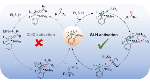 ChemEurJ's tweet image. Mechanistic Investigations on Bismuth Catalyzed Reduction of Ketones and Phosphine Oxides (L. Maron, A. Venugopal and co-workers) @MainTvm, @tvmiiser, @annabel_benny, @Deepti Sharma, @Ankur02637554 onlinelibrary.wiley.com/doi/10.1002/ch…