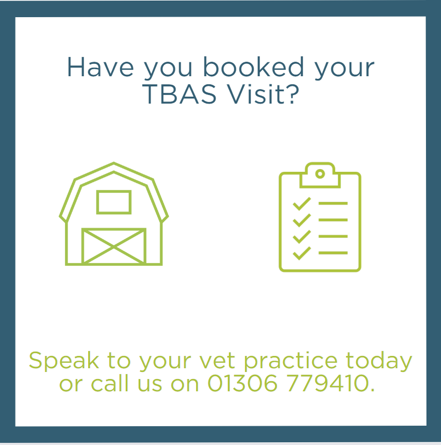 TB_Advisory's tweet photo. If your private vet is a trained TBAS Adviser, they will visit your farm and speak to you about your farm set up, any concerns you may have about TB, potential issues you may face in the future and have a walk around the farm. https://t.co/HoTRAo1W78