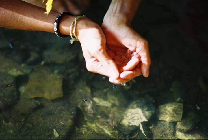 Душевнохворим може стати будь хто
А от божевільним, то важка робота - бо ще треба мати неабиякий доступ до своїх божків. А таргани до раю не всіх пускають для революцій)). 
Тут пісвідоме підказує про «боєвільних» та «право на болевивлення», але для першого разу досить