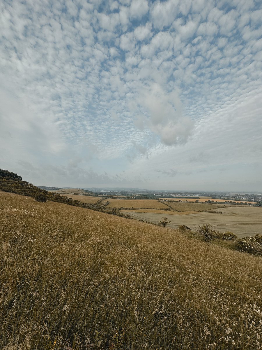 Fun mornings before work! #ashridge #nationaltrust #ivinghoebeacon