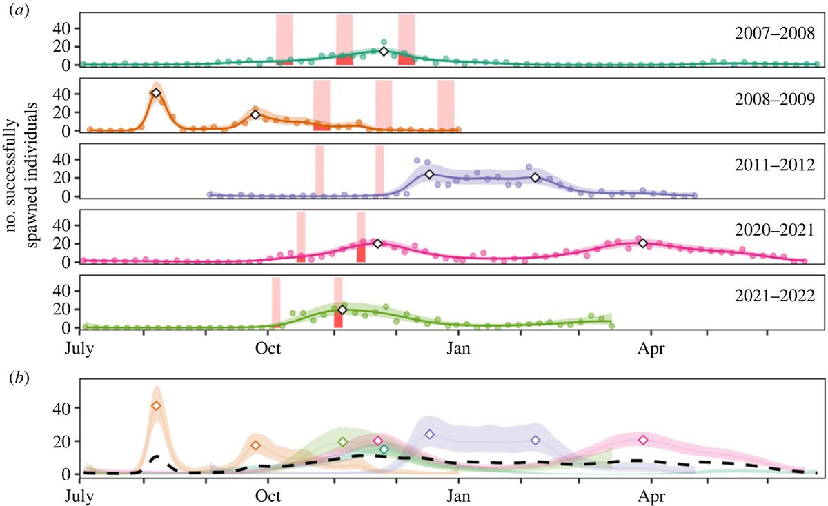#Ageing of juvenile coral grouper reveals year-round spawning and recruitment: implications for seasonal closures #ProcB #OpenAccess ow.ly/Phxg50OUBzG #Ecology