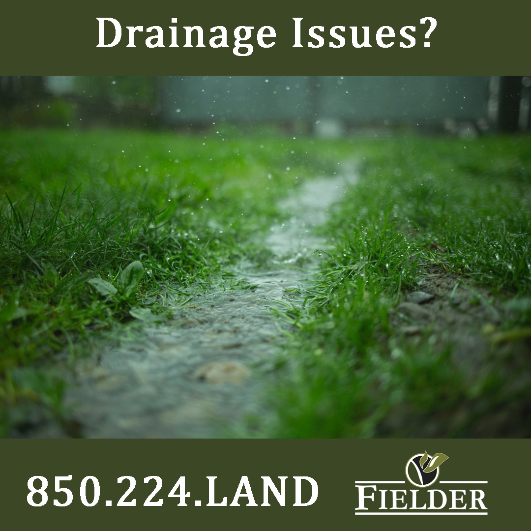 Our professionals are ready to assist you with all your drainage solution needs!⛈️☔
📲Give us a call at 850-224-LAND to schedule your consultation!

#Drainage #OneTeamOneFamily #SummerShowers #RainWater #Erosion #DrainageIssues