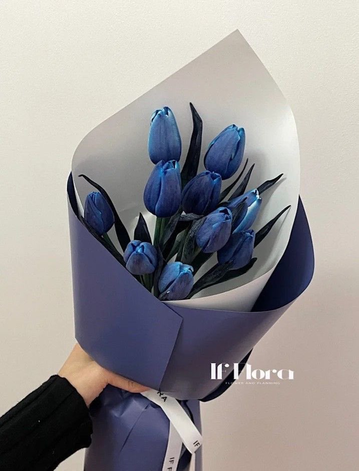 💙 royal blue tulips