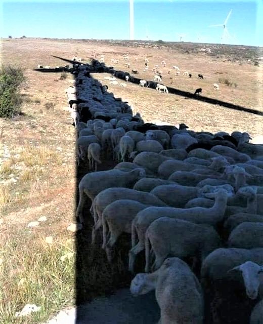 Greenisamissio1's tweet photo. Reflected

We need renewable energies, but we don't just need technology, we also need nature, because what use is energy generation if nature is neglected and destroyed in the process? 

A picture is often worth a thousand words.💚🌲🌳🌱🌿☘️🍀 https://t.co/efmjtpixMi