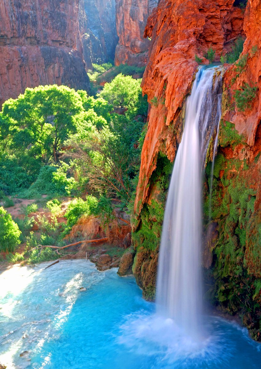 Havasu Falls is a waterfall of Havasu Creek, located in the Grand Canyon, Arizona, United States. It is within Havasupai tribal lands. 🇺🇸 

#nature #naturephotography #naturebeauty #scenic #photography 

Wikipedia: en.wikipedia.org/wiki/Havasu_Fa…