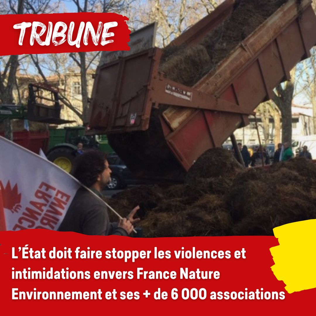 📦🦋 France Nature Environnement (@fneasso) on Twitter photo ⚠️ Les militants associatifs sont de + en + victimes d’intimidations et de violences. L’État ne les protège pas et alimente les tensions.
📄 Nous adressons une lettre à <a href="/GDarmanin/">Gérald DARMANIN</a> <a href="/Elisabeth_Borne/">Élisabeth BORNE</a> <a href="/MFesneau/">Marc Fesneau</a> <a href="/ChristopheBechu/">Christophe Béchu</a> : reporterre.net/L-Etat-doit-st… ⚠️ Les militants associatifs sont de + en + victimes d’intimidations et de violences. L’État ne les protège pas et alimente les tensions.
📄 Nous adressons une lettre à <a href="/GDarmanin/">Gérald DARMANIN</a> <a href="/Elisabeth_Borne/">Élisabeth BORNE</a> <a href="/MFesneau/">Marc Fesneau</a> <a href="/ChristopheBechu/">Christophe Béchu</a> : reporterre.net/L-Etat-doit-st…