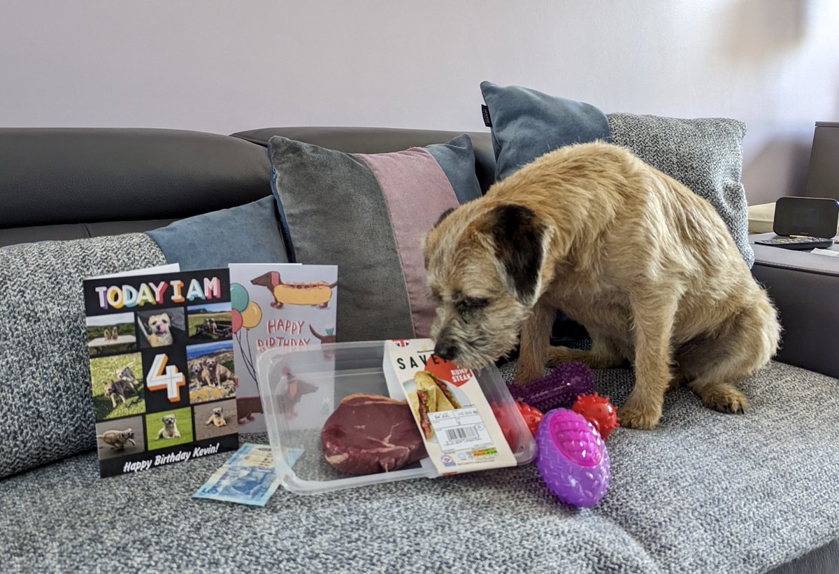 Look who is 4 today! Happy Birthday Kevin! 🎂 🎉 🥩  #birthdayboy #BTPosse