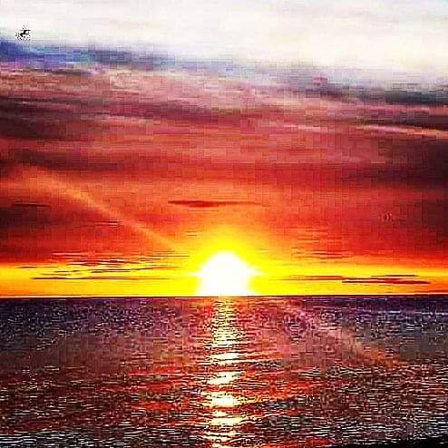 RareCat's tweet photo. Gm dear friends. 🌞🐓☕
"Walking on water wasn't built in a day."
-Jack Kerouac
#OneFlew
#Just4Fun ^.^)
#HABN ☮❤ https://t.co/Z84Yx2cmYh