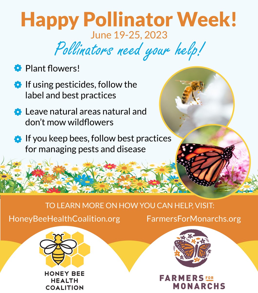 achood4mu's tweet image. #DYK  ~35% of food crops derive at least some benefit from #pollinators?

@Bayer4CropsUS is proud to partner with @Farms4Monarchs and @beehealthorg to drive pollinator conservation throughout diverse ag communities.

During #PollinatorWeek2023 and every week, you can help too!