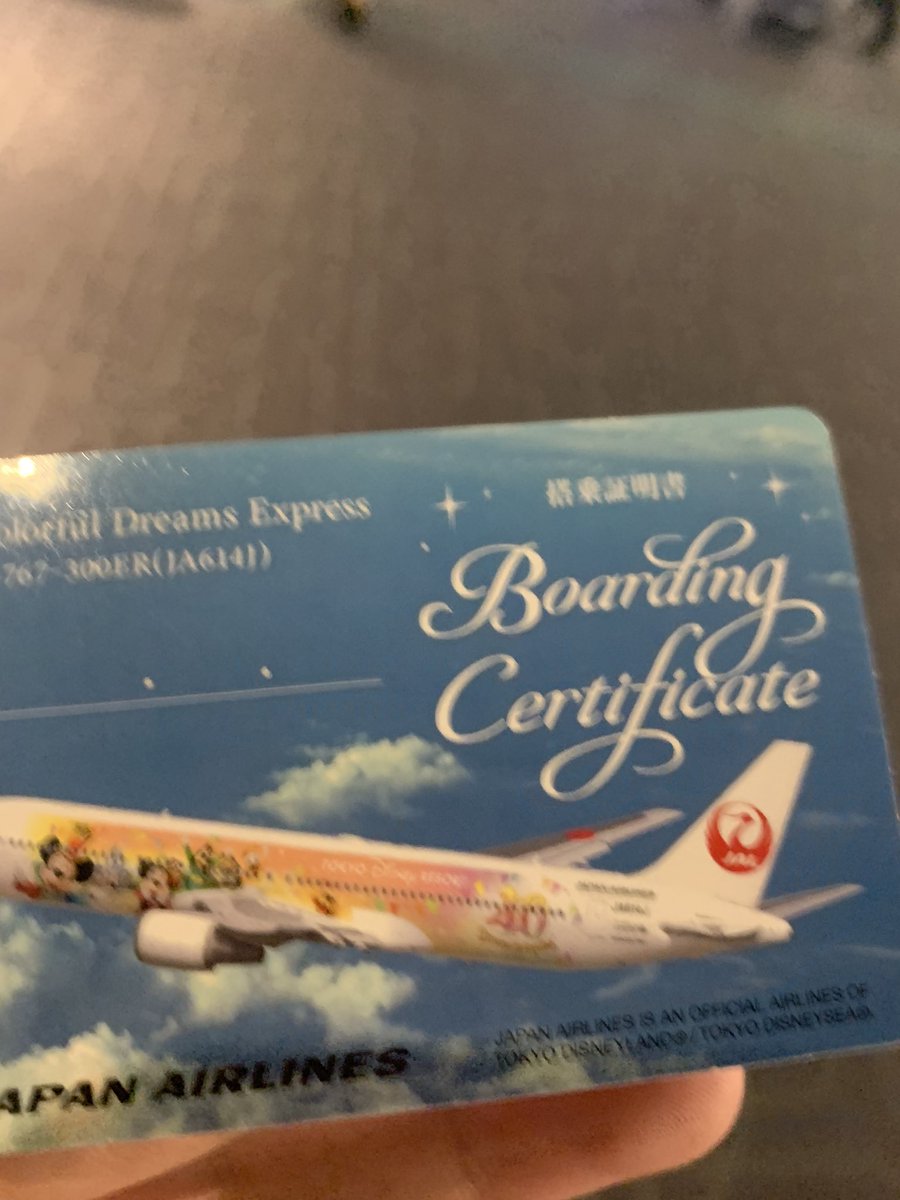 飛行機ミッキーやった