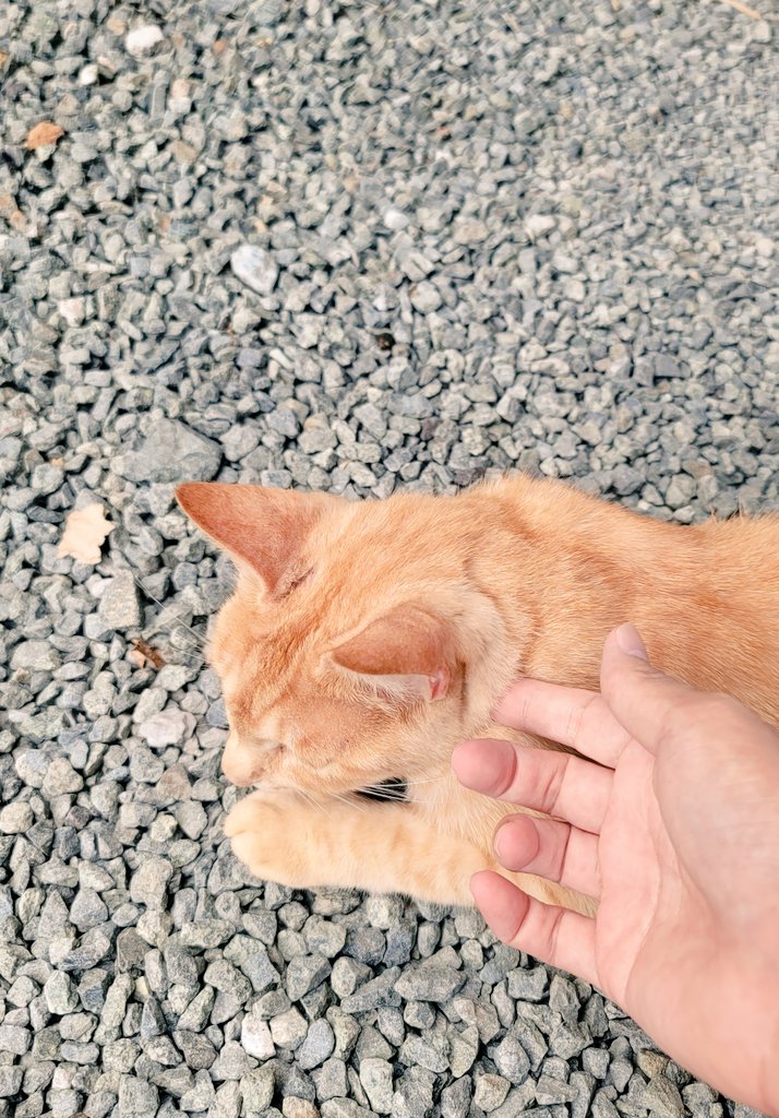 ymmtymmt0901's tweet photo. とても素敵なところでした!
#ラトベイス
#LatoBase #kumamoto https://t.co/CRjJHYOMCO