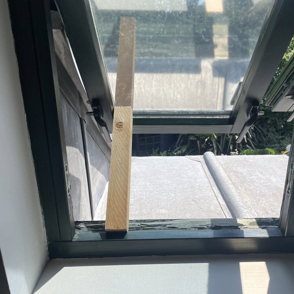 David Smith tweet media