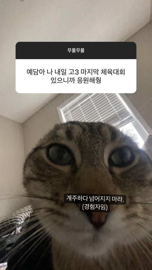 on-twitter-yedam-i-m-having-my-last-senior-year-sports