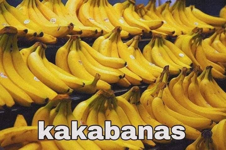 andrei (@dreileetrnd) on Twitter photo 