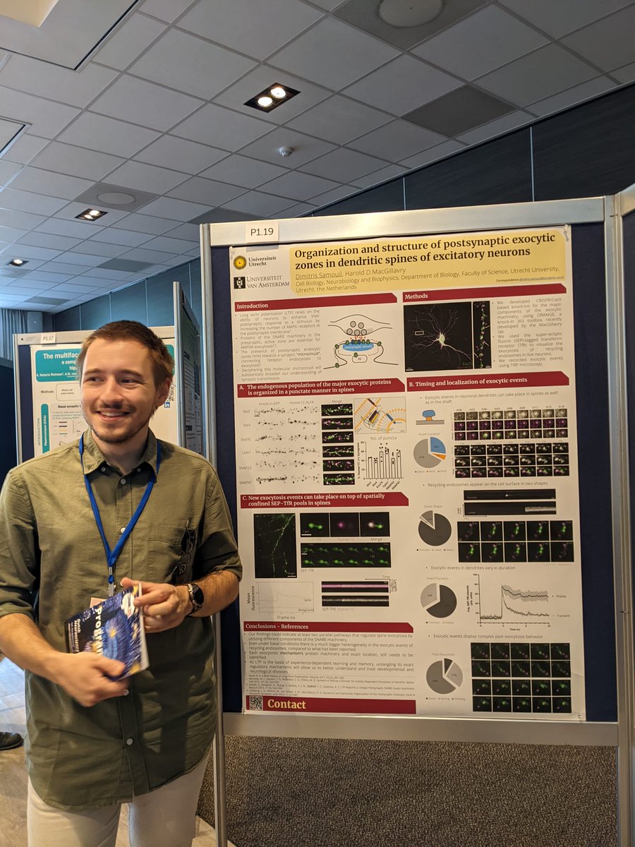 Dimitris Samouil (@samouildimitris) on Twitter photo Dutch Neuroscience Meeting 2023!
Come by P1.19 to learn the truth about #exocytosis in #spines with a lot of cool images of #neurons! Huge thanks to <a href="/hdmacgillavry/">Harold MacGillavry</a> of course!!
#DNM23 <a href="/UUBeta/">Faculty of Science, Utrecht University</a> <a href="/MBCS_UvA/">Research Master Brain And Cognitive Sciences</a> Dutch Neuroscience Meeting 2023!
Come by P1.19 to learn the truth about #exocytosis in #spines with a lot of cool images of #neurons! Huge thanks to <a href="/hdmacgillavry/">Harold MacGillavry</a> of course!!
#DNM23 <a href="/UUBeta/">Faculty of Science, Utrecht University</a> <a href="/MBCS_UvA/">Research Master Brain And Cognitive Sciences</a>