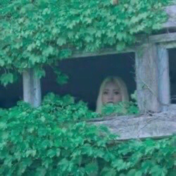 Audrey Conn tweet media