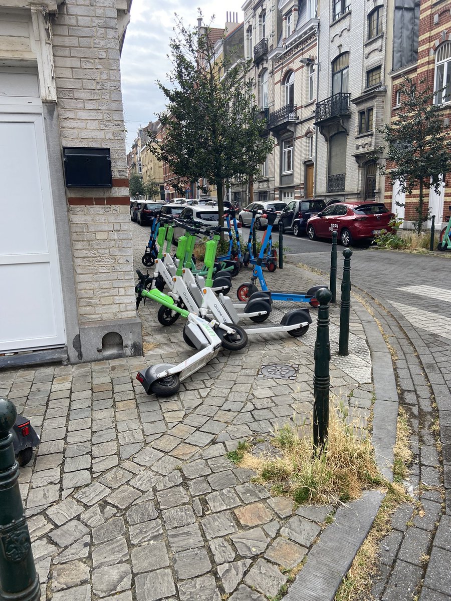MarTrui's tweet photo. Die ochtend aan de Hobbemastraat .shame on ... https://t.co/4VGTPhNUKX