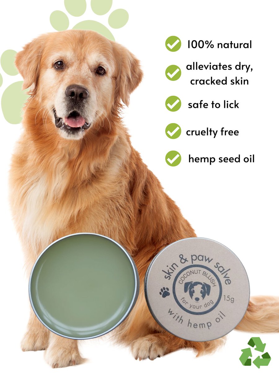 Jane Malcolm tweet media