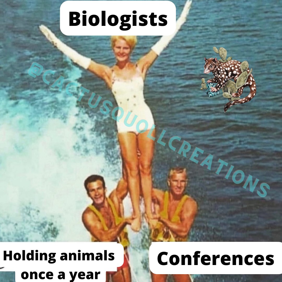 Gael Sanchez (she/her) (@cactusquoll) on Twitter photo 