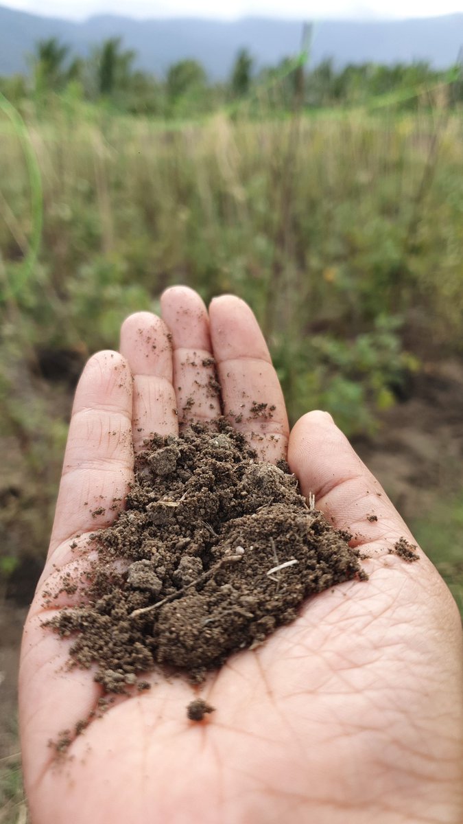 The magic of moist #soil. #natureAtItsBest #regenerativeFarming #ConsciousPlanet #IndianFPOs