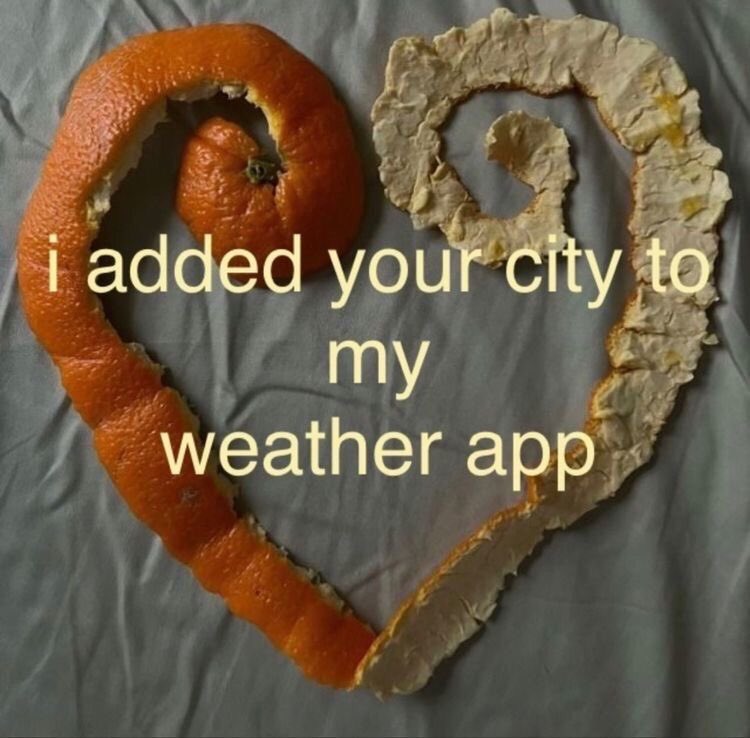 Noor_Unnahar's tweet image. pinterest youre wild