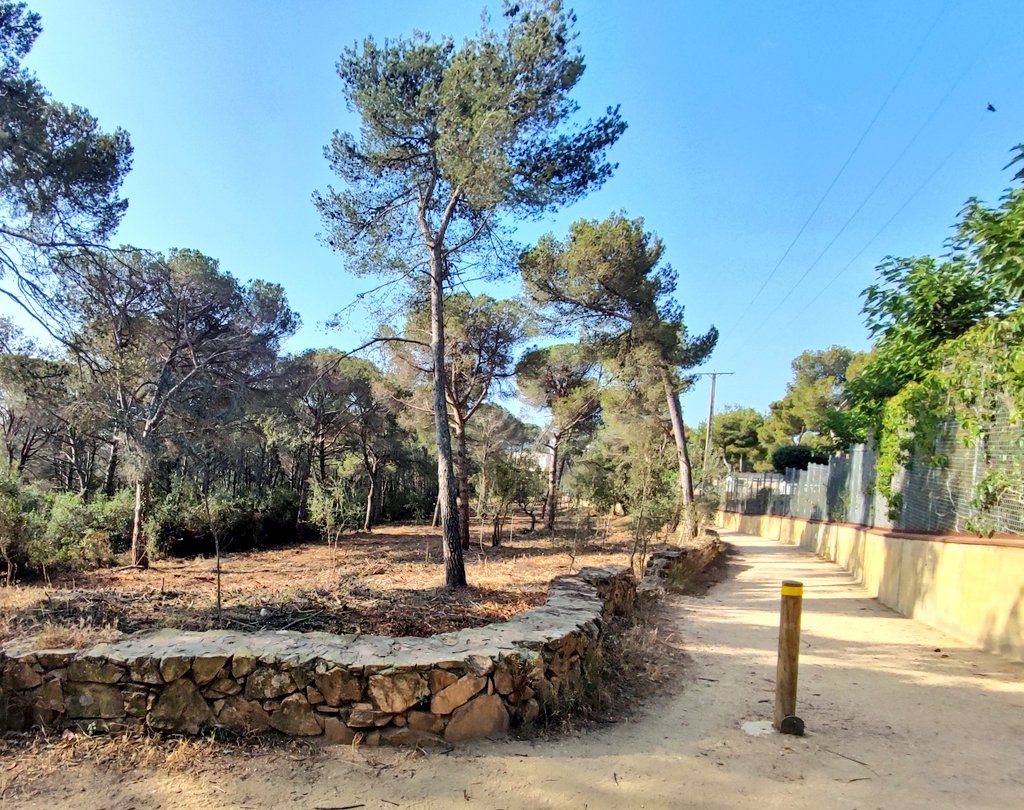 ADFGavarresMar's tweet photo. Les franges de seguretat ben fetes han d'oferir discontinuïtat entre la massa forestal tan horitzontalment com verticalment. Així s'evita la propagació de l'incendi cap als habitatges i es facilitar als mitjans d'extinció treballar amb facilitat i seguretat. https://t.co/zJP58mXega