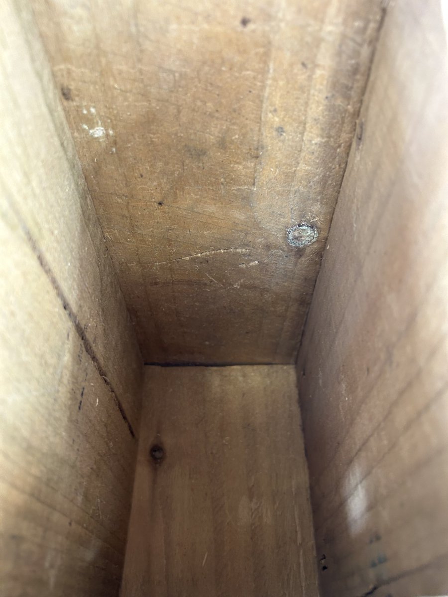 Nine Maidens APA tweet media