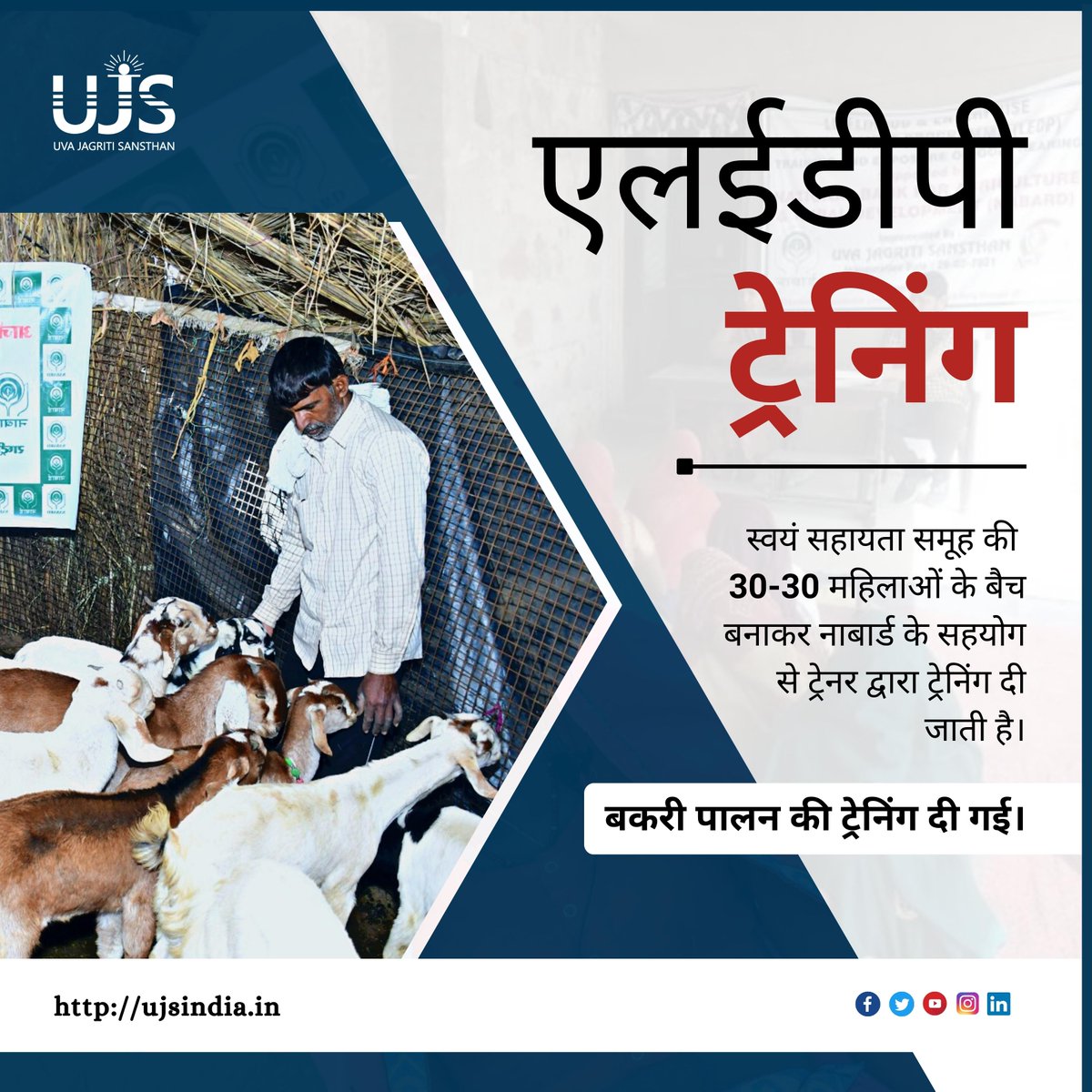 JagritiUva's tweet image. Training is given by trainers in collaboration with NABARD by making batches of 30-30 women of self-help groups. Training was given in goat rearing.
.
To join in such initiatives with UJS, please contact us on
PHONE: 099504 14310
VISIT: ujsindia.in
.
.
#UJS