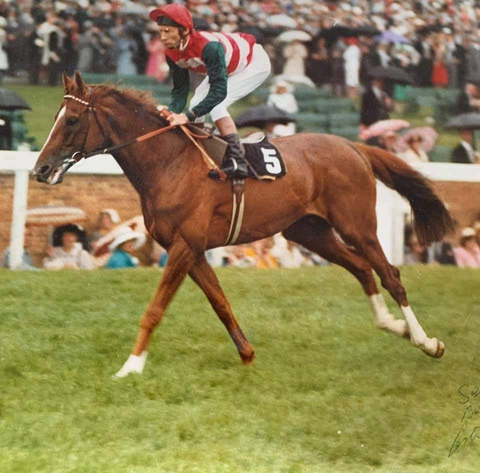 Le Moss on the way to post for the 1979 Ascot Gold Cup, where he came home an impressive 7 Length winner from his better fancied stable companion, Buckskin.
Le Moss returned 12 months later to defeat Ardross by 3/4L...the beginning of an intense rivalry.
Timeform Rating 135.