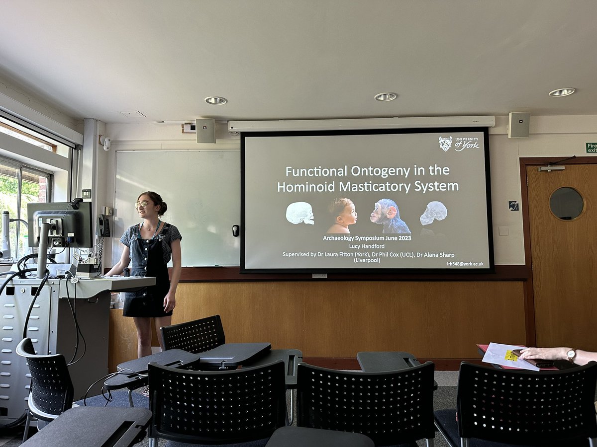 Archaeology UoYork tweet media