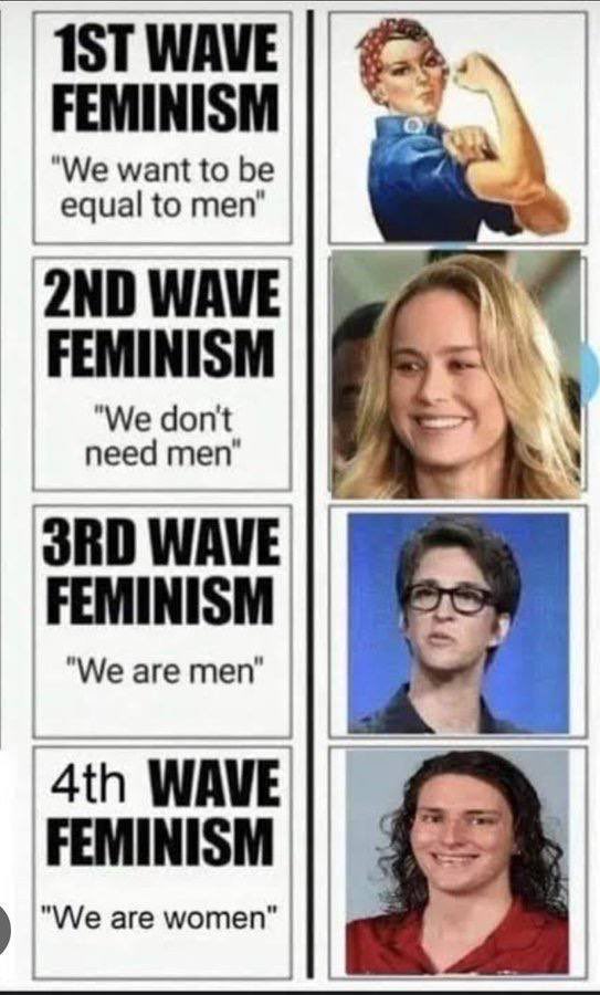 Evolution of feminism. 😬Not looking forward to the 5th wave…it might be a picture of an animal saying, women should be extinct. 🤦‍♀️🤷‍♀️😬 👑🐝#factassin