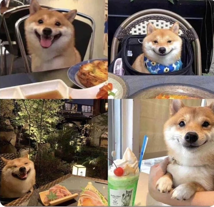 – Ir a comer te animaría un poco? 

– yo: