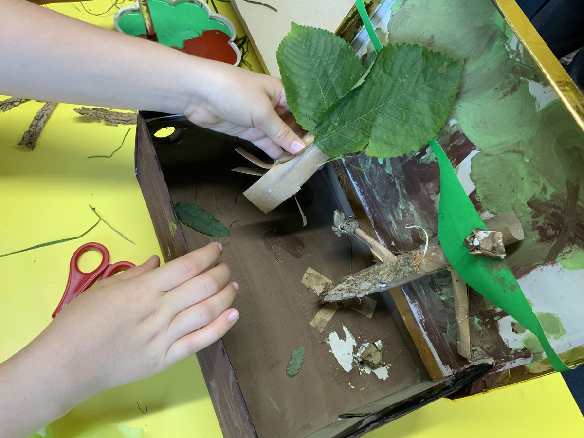 HurstKnollY4's tweet photo. Making a rainforest in a shoebox! We’re trying to create a forest floor, an understory a canopy layer and an emergent layer. https://t.co/vThLa1Ldav