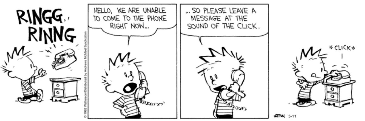 Who else did this as a kid? 🤣 #CalvinandHobbes