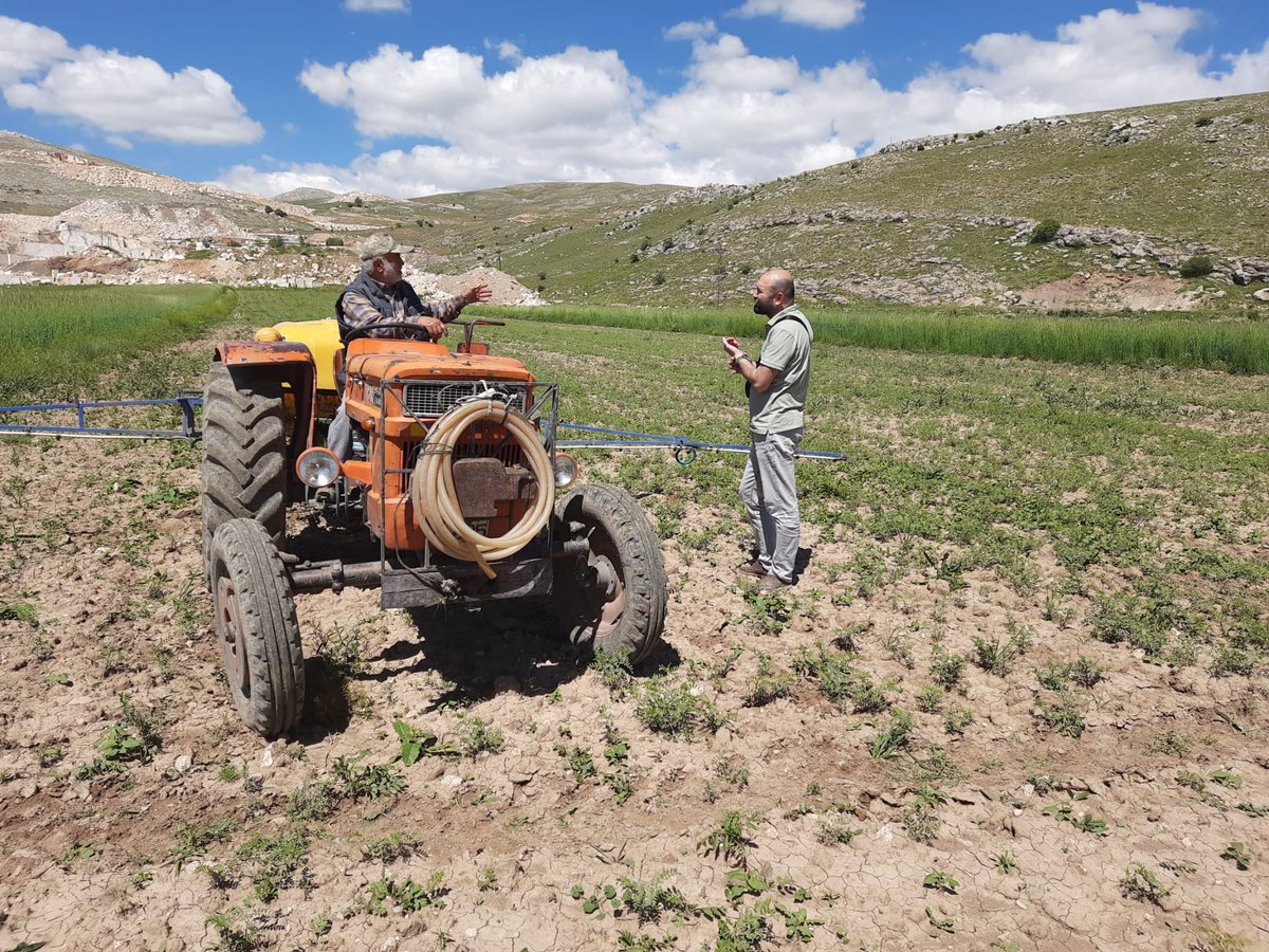 #Elmalı’da BATEM işbirliği ile nohutta mikrobiyal gübre uygulamalarının yaygınlaştırılması projesi kapsamında kontroller yapılıyor

#Korkuteli’de #Buğday ve #nohut  hastalık zararlıları kontrolü yapıldı
#GelecekTarımda #TarımAntalyada 
<a href="/ibrahimyumakli/">İbrahim Yumaklı</a> <a href="/ersinyazici1/">Ersin YAZICI</a> <a href="/gokhankaraca_/">Gökhan Karaca</a>