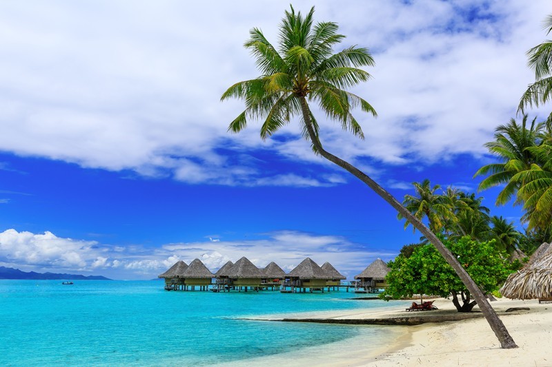 Bora Bora, mora mora... or if you prefer: slowness, tranquility, and smoothness!

#sehlmeyertravel #thursdaymood #thursdays #thankfulthursday #thursdaythoughts #thinkpositivethursday #thursdayvibes #thursdayfun #thoughtfulthursday #thursdayfeels #thursdaytreat