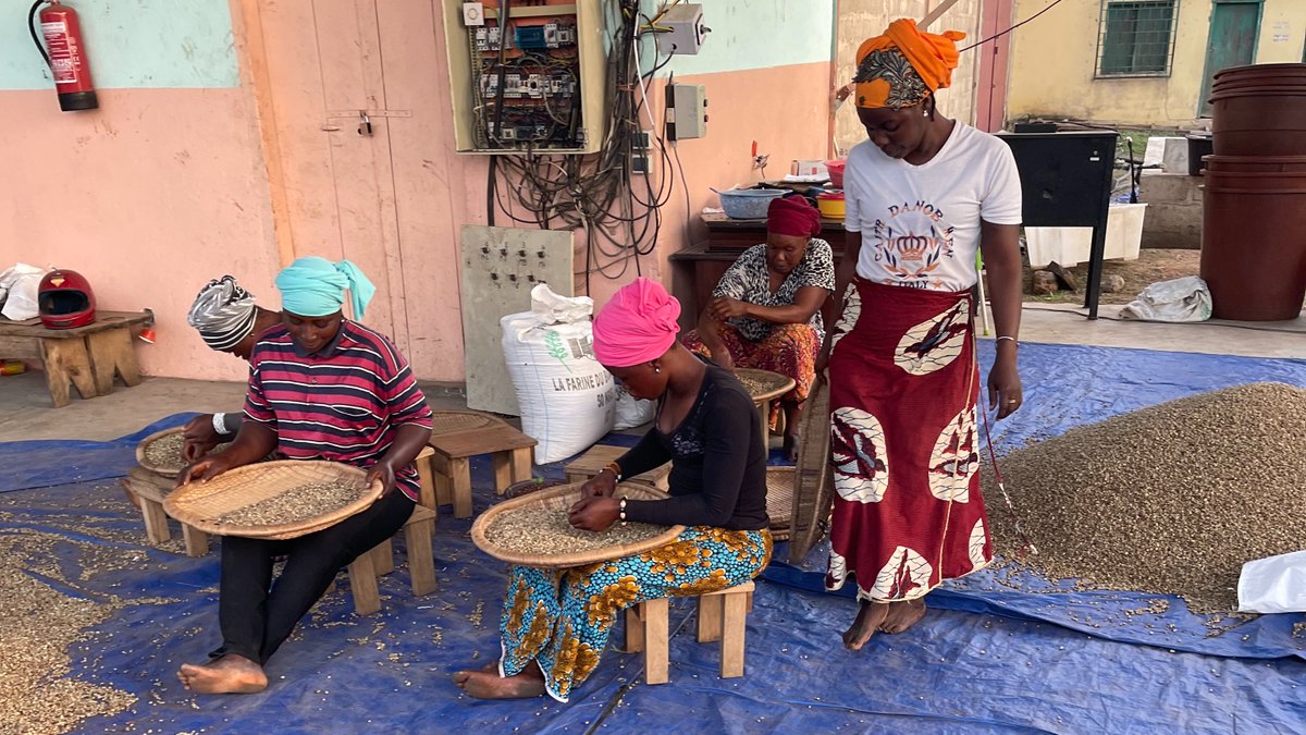 RioTintoSimFer's tweet photo. Fier de notre engagement pour le contenu local, nous consommons du #MacentaBeans, une marque de café 100% guinéenne, dans nos bureaux de #Conakry et du camp Canga.
#RioTinto #Guinee https://t.co/eQ4fa1tWXX