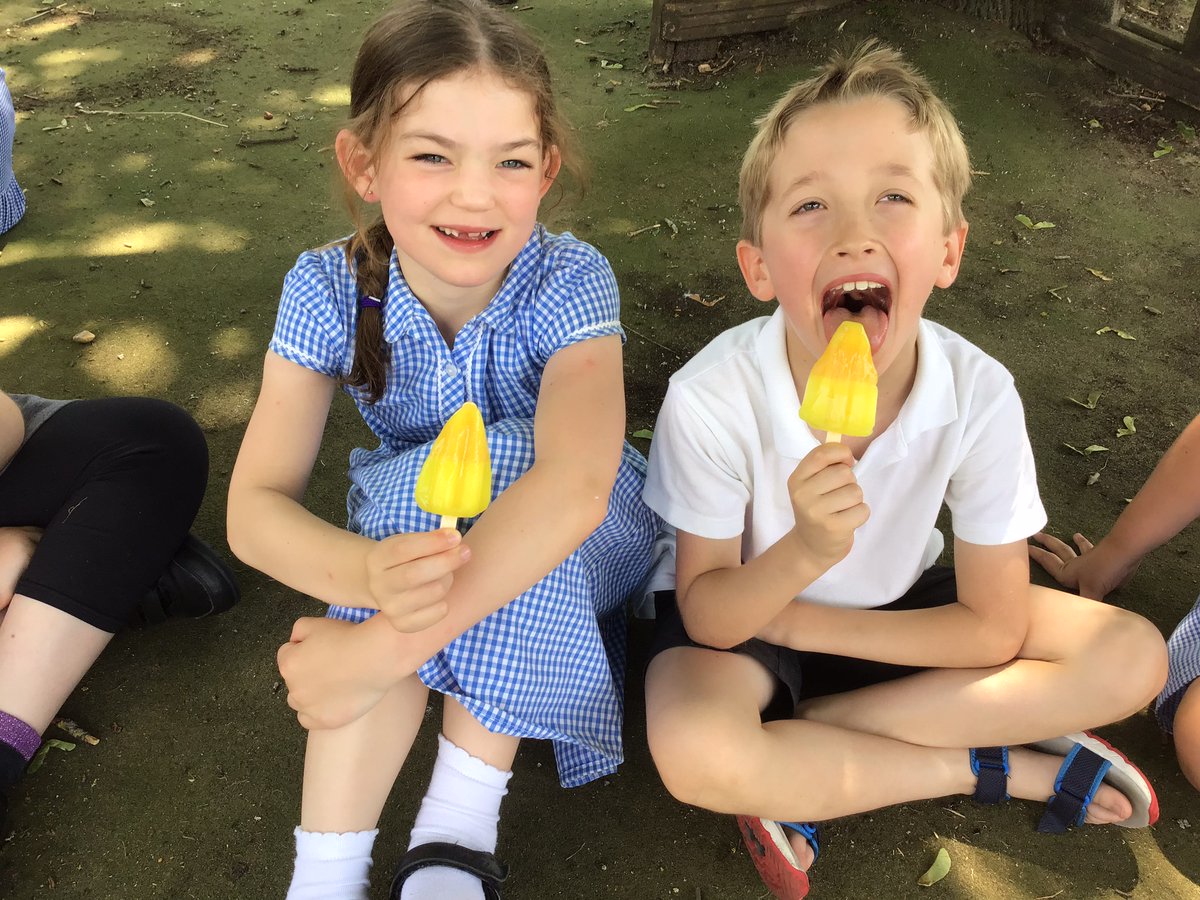 Long Wittenham Primary tweet media