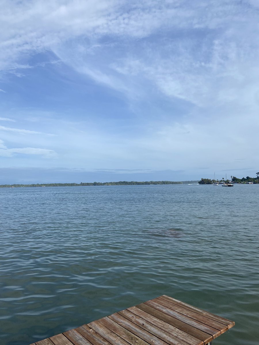 Why supplement magnesium when you could just swim in the ocean every morning